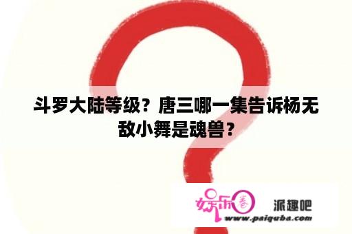 斗罗大陆等级？唐三哪一集告诉杨无敌小舞是魂兽？