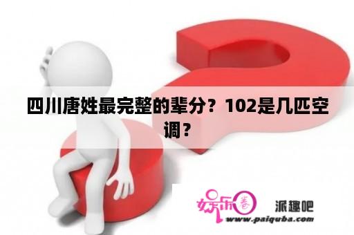 四川唐姓最完整的辈分？102是几匹空调？