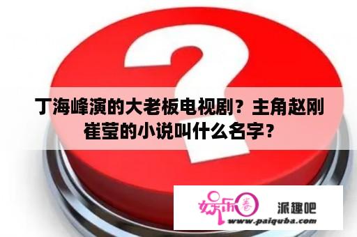 丁海峰演的大老板电视剧？主角赵刚崔莹的小说叫什么名字？