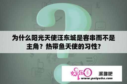 为什么阳光天使汪东城是客串而不是主角？热带鱼天使的习性？