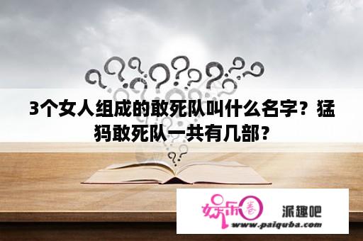 3个女人组成的敢死队叫什么名字？猛犸敢死队一共有几部？