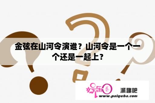 金弦在山河令演谁？山河令是一个一个还是一起上？