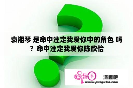 袁湘琴 是命中注定我爱你中的角色 吗？命中注定我爱你陈欣怡