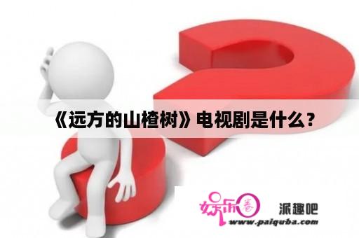 《远方的山楂树》电视剧是什么？