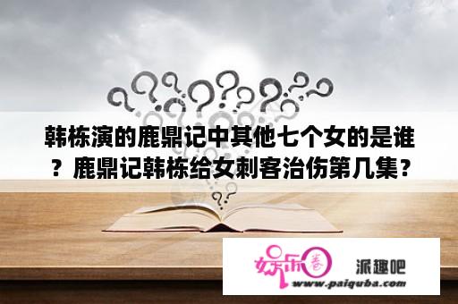 韩栋演的鹿鼎记中其他七个女的是谁？鹿鼎记韩栋给女刺客治伤第几集？