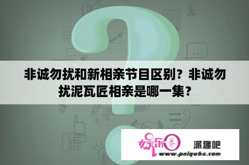 非诚勿扰和新相亲节目区别？非诚勿扰泥瓦匠相亲是哪一集？