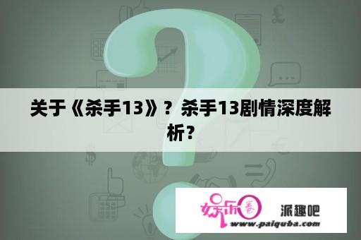 关于《杀手13》？杀手13剧情深度解析？