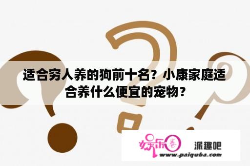 适合穷人养的狗前十名？小康家庭适合养什么便宜的宠物？