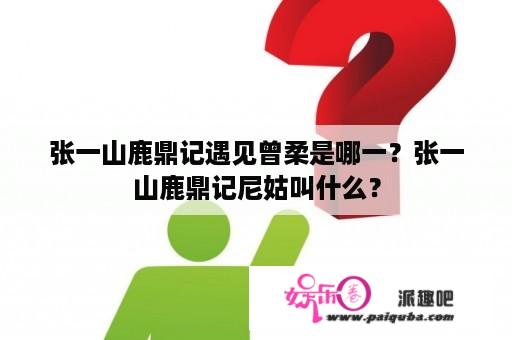 张一山鹿鼎记遇见曾柔是哪一？张一山鹿鼎记尼姑叫什么？