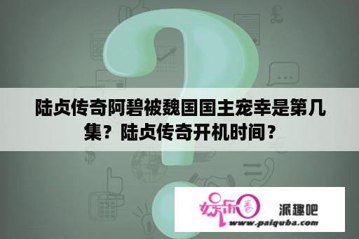 陆贞传奇阿碧被魏国国主宠幸是第几集？陆贞传奇开机时间？