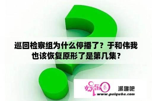 巡回检察组为什么停播了？于和伟我也该恢复原形了是第几集？