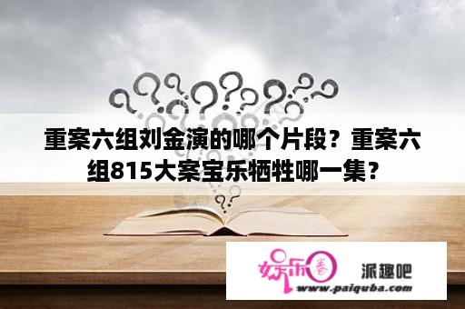 重案六组刘金演的哪个片段？重案六组815大案宝乐牺牲哪一集？