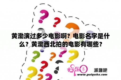 黄渤演过多少电影啊？电影名字是什么？黄渤西北拍的电影有哪些？