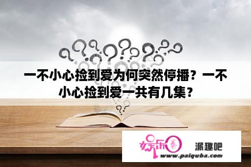 一不小心捡到爱为何突然停播？一不小心捡到爱一共有几集？