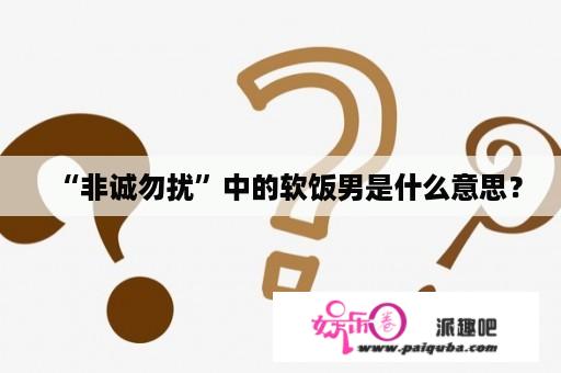 “非诚勿扰”中的软饭男是什么意思？