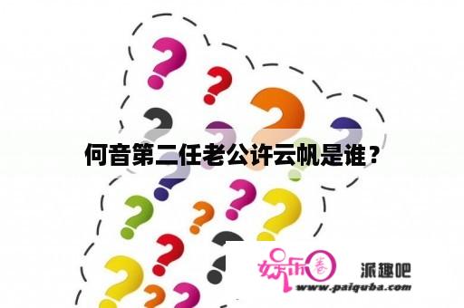 何音第二任老公许云帆是谁？