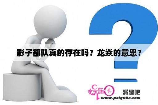 影子部队真的存在吗？龙焱的意思？