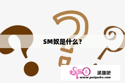 SM奴是什么？