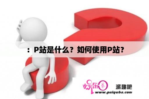 ：P站是什么？如何使用P站？