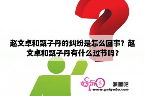 赵文卓和甄子丹的纠纷是怎么回事？赵文卓和甄子丹有什么过节吗？