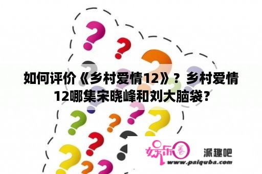 如何评价《乡村爱情12》？乡村爱情12哪集宋晓峰和刘大脑袋？