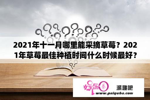 2021年十一月哪里能采摘草莓？2021年草莓最佳种植时间什么时候最好？