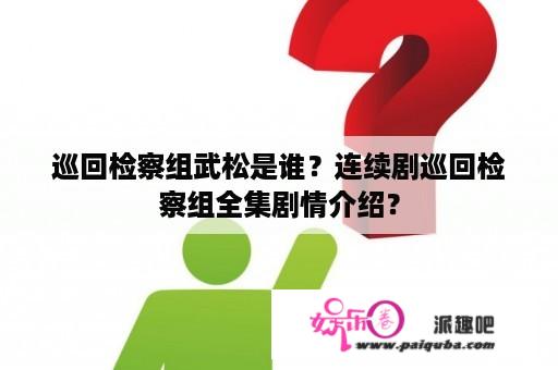 巡回检察组武松是谁？连续剧巡回检察组全集剧情介绍？