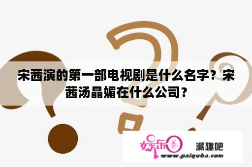 宋茜演的第一部电视剧是什么名字？宋茜汤晶媚在什么公司？