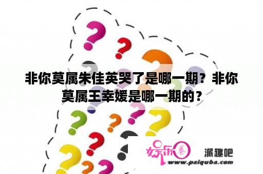 非你莫属朱佳英哭了是哪一期？非你莫属王幸媛是哪一期的？