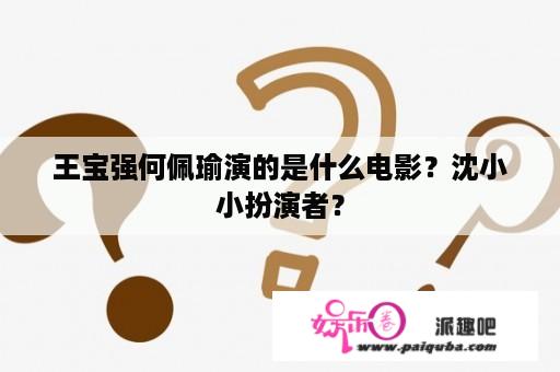 王宝强何佩瑜演的是什么电影？沈小小扮演者？