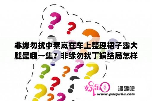 非缘勿扰中秦岚在车上整理裙子露大腿是哪一集？非缘勿扰丁娟结局怎样？