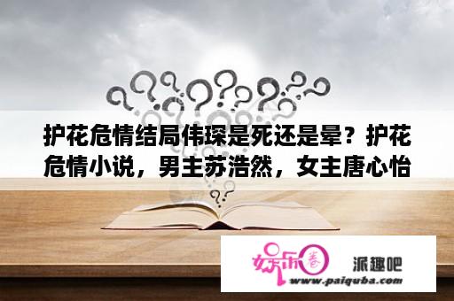 护花危情结局伟琛是死还是晕？护花危情小说，男主苏浩然，女主唐心怡？