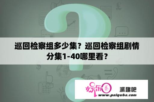 巡回检察组多少集？巡回检察组剧情分集1-40哪里看？