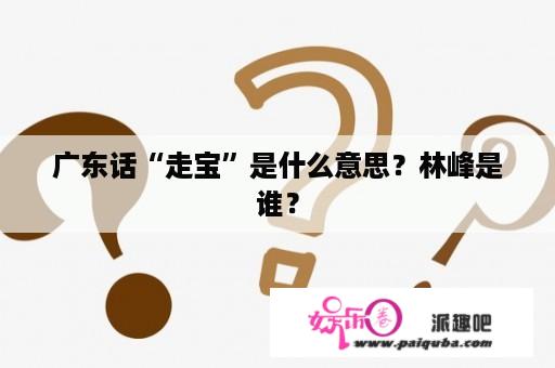 广东话“走宝”是什么意思？林峰是谁？