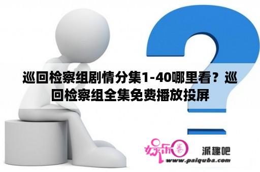 巡回检察组剧情分集1-40哪里看？巡回检察组全集免费播放投屏