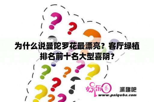 为什么说曼陀罗花最漂亮？客厅绿植排名前十名大型喜阴？