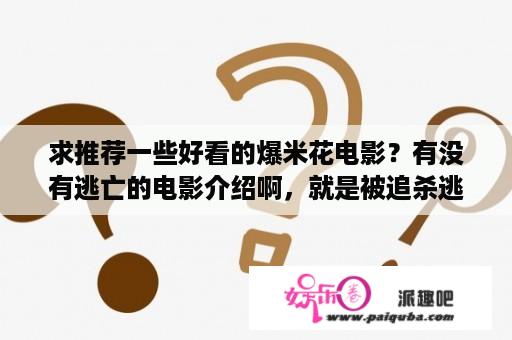 求推荐一些好看的爆米花电影？有没有逃亡的电影介绍啊，就是被追杀逃亡的，或者是保护人质的电影？