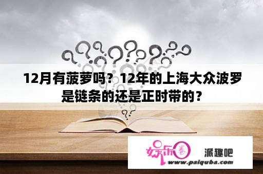 12月有菠萝吗？12年的上海大众波罗是链条的还是正时带的？