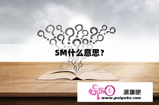 SM什么意思？