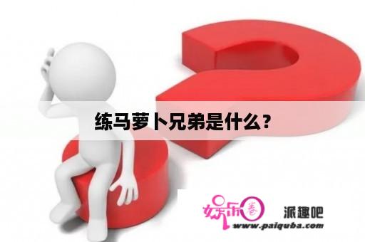 练马萝卜兄弟是什么？