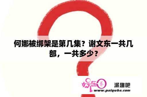 何娜被绑架是第几集？谢文东一共几部，一共多少？