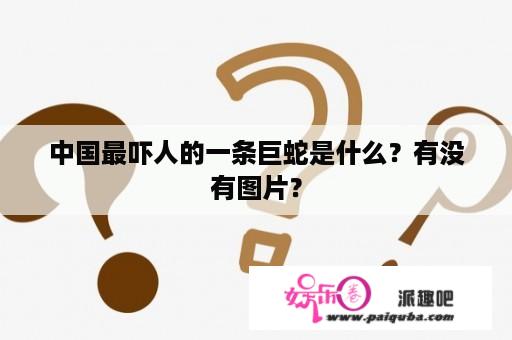 中国最吓人的一条巨蛇是什么？有没有图片？