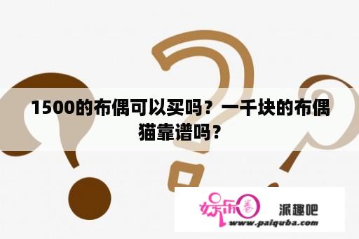 1500的布偶可以买吗？一千块的布偶猫靠谱吗？