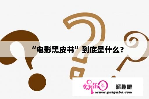 “电影黑皮书”到底是什么？