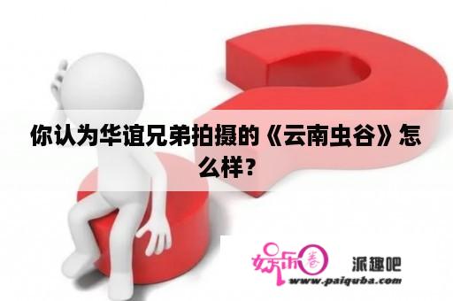 你认为华谊兄弟拍摄的《云南虫谷》怎么样？