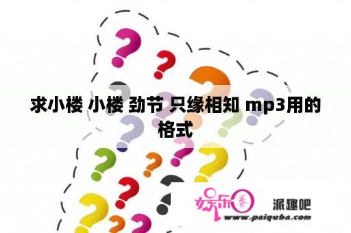 求小楼 小楼 劲节 只缘相知 mp3用的格式