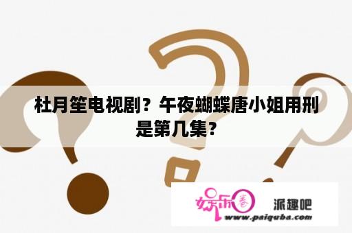 杜月笙电视剧？午夜蝴蝶唐小姐用刑是第几集？