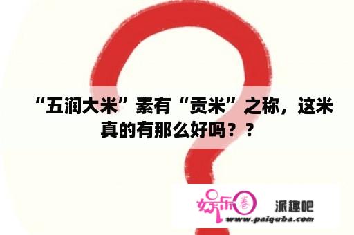 “五润大米”素有“贡米”之称，这米真的有那么好吗？？