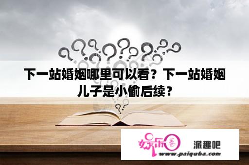 下一站婚姻哪里可以看？下一站婚姻儿子是小偷后续？