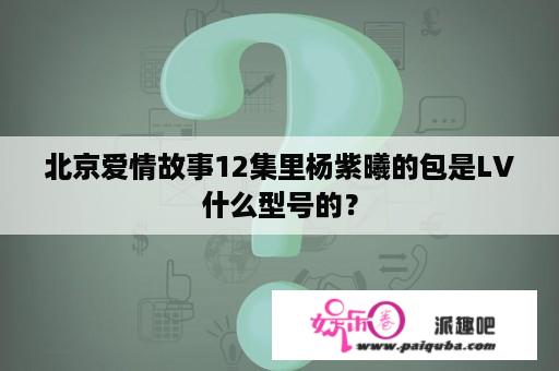 北京爱情故事12集里杨紫曦的包是LV什么型号的？